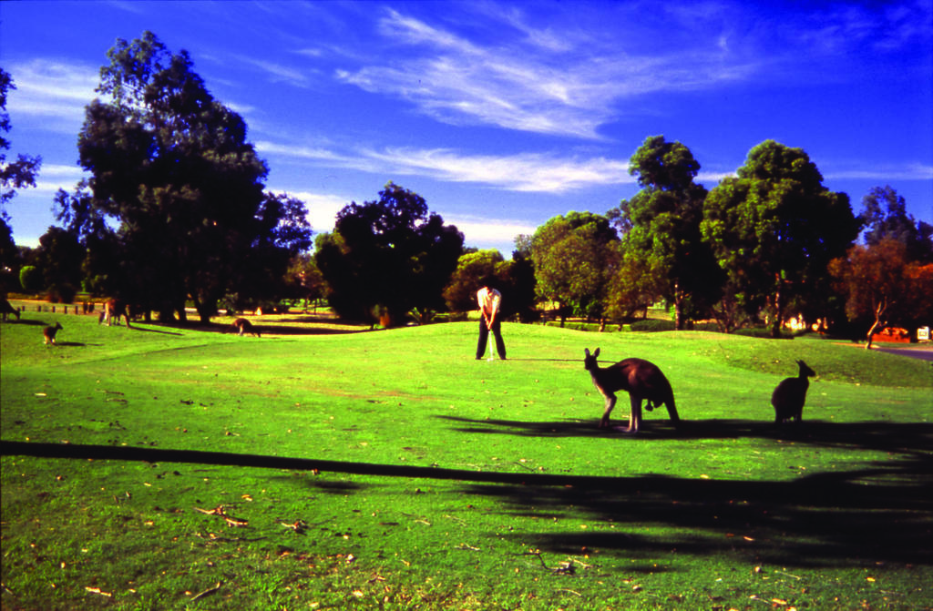 Novotel Vines Resort Swan Valley The Vines Exterior photo